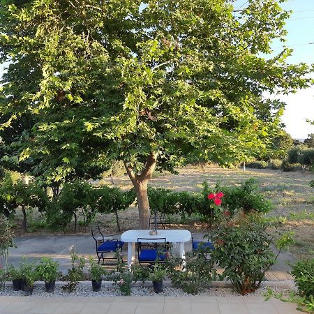 Swan House Panoramic View - Near The Sea Zipárion Exterior foto