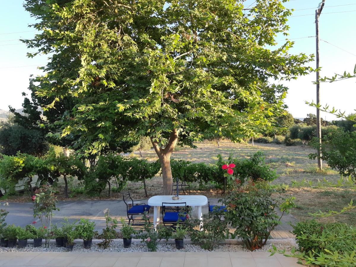Swan House Panoramic View - Near The Sea Zipárion Exterior foto