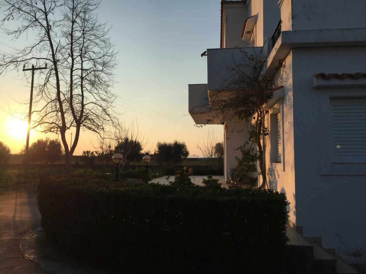 Swan House Panoramic View - Near The Sea Zipárion Exterior foto